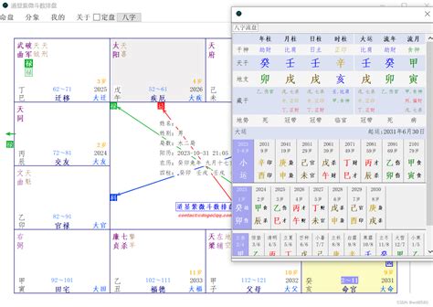 紫微|灵匣网的紫微斗数在线排盘系统